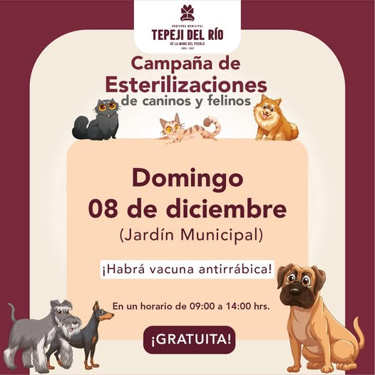 Mañana domingo habrá esterilizaciones gratuitas de felinos y caninos en #TepejiDelRío.