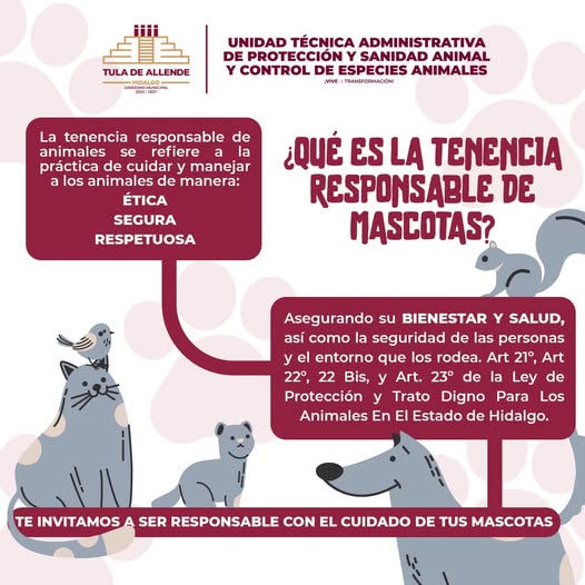 Fomentan la tenencia responsable de mascotas en Tula de Allende