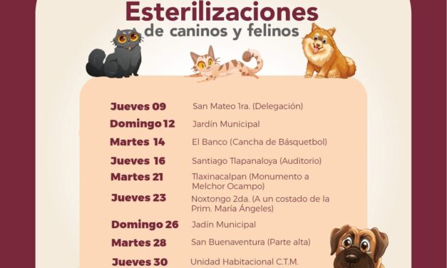 El Gobierno de Tepeji del Río refuerza campaña gratuita de esterilización de mascotas