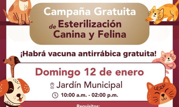 ¡Cuidemos a nuestras mascotas!