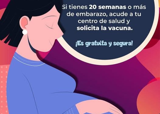 Proteger a tu bebé comienza desde el embarazo