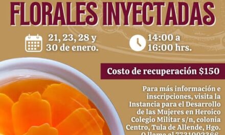 El Gobierno Municipal de Tula de Allende invita al curso de gelatinas florales inyectadas.