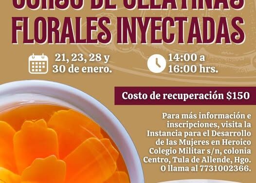 El Gobierno Municipal de Tula de Allende invita al curso de gelatinas florales inyectadas.