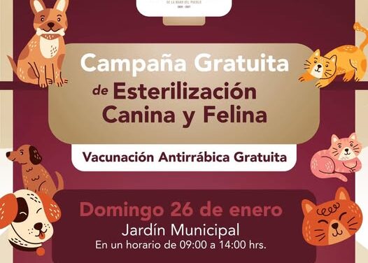 Realizarán campaña de esterilización gratuita en el jardín municipal de Tepeji del Río