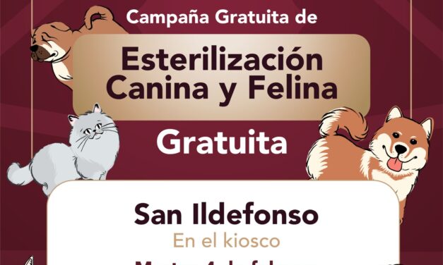 RECUERDA QUE HOY HAY CAMPAÑA DE ESTERILIZACIÓN CANINA Y FELINA GRATUITA EN SAN ILDEFONSO