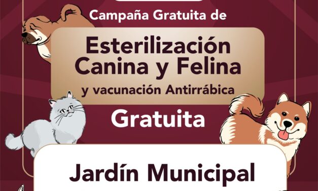 Campaña de esterilización canina-felina y vacunación antirrábica en el jardín municipal de Tepeji