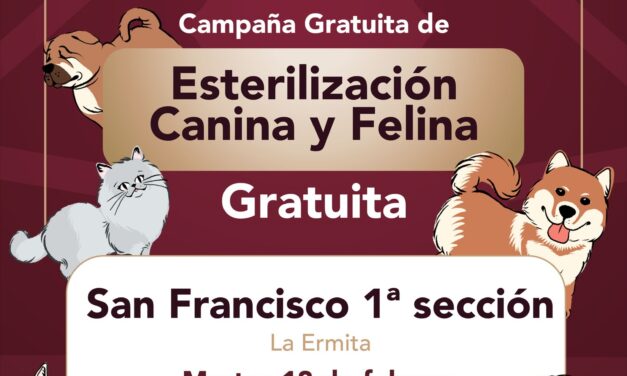 Mañana habrá esterilización felina y canina en la colonia San Francisco Primera Sección