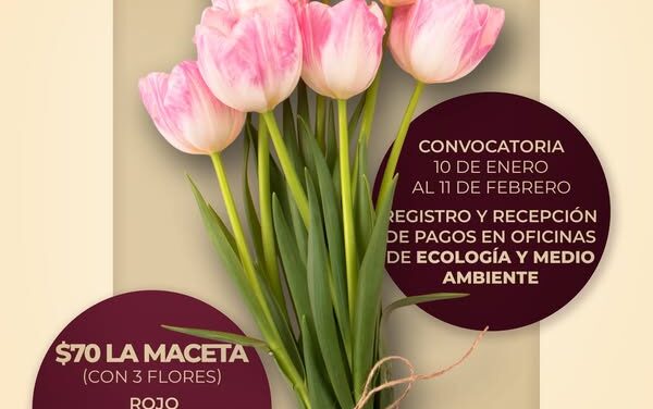 Ú𝗟𝗧𝗜𝗠𝗢𝗦 𝗗Í𝗔𝗦 𝗣𝗔𝗥𝗔 𝗔𝗗𝗤𝗨𝗜𝗥𝗜𝗥 𝗧𝗨𝗟𝗜𝗣𝗔𝗡𝗘𝗦