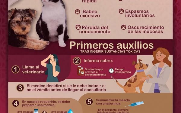 ¡Atención, ciudadanía de Atotonilco de Tula!