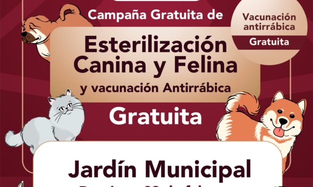 Tepeji del Río impulsa el bienestar animal con campaña de esterilización y vacunación gratuita