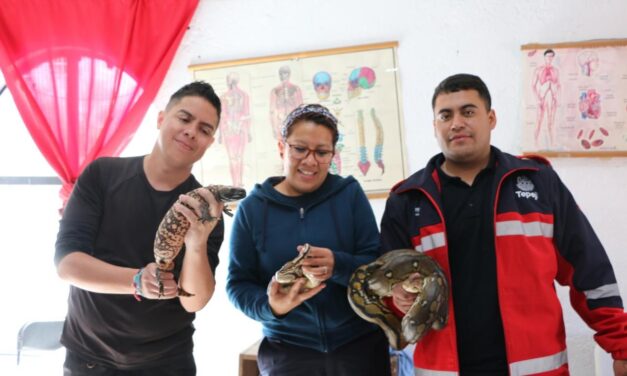 Capacitatan al personal de la Unidad de Protección Civil de Tepeji en Manejo de Fauna Silvestre