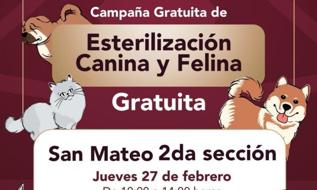 Este jueves habrá campaña de esterilización canina y felina en San Mateo