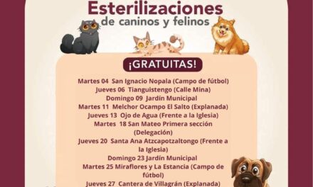 Conoce el calendario de esterilización canina y felina en Tepeji del Río