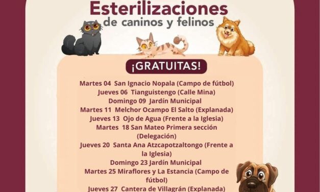 Conoce el calendario de esterilización canina y felina en Tepeji del Río