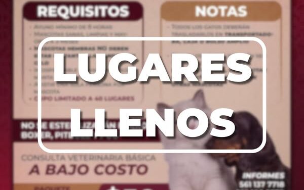 Los lugares para la campaña de esterilización en Atotonilco de Tula ya están llenos