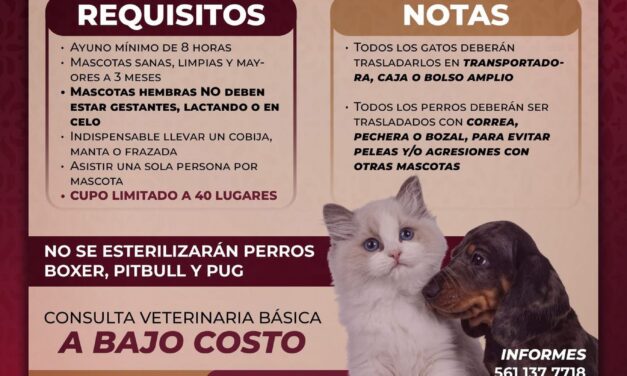 Habrá campaña de esterilización canina y felina gratuita en Atotonilco de Tula