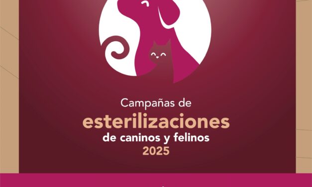 Campaña #GRATUITA de esterilización canina y felina