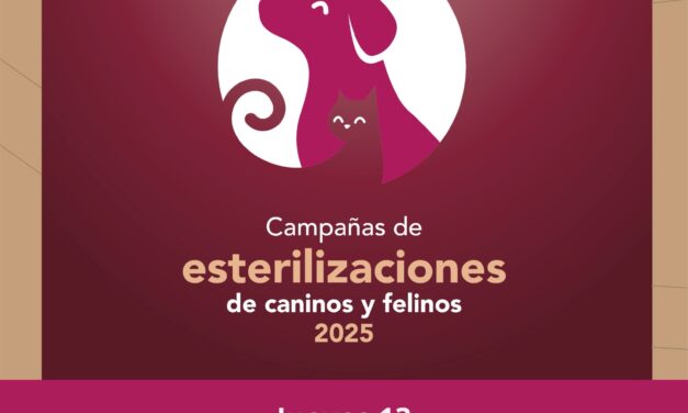 ¡Campaña #GRATUITA de esterilización canina y felina!