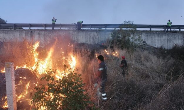 Reporte de Incendios en Tepeji del Río