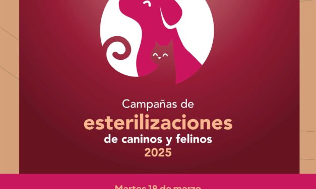 ¡Campaña #GRATUITA de esterilización canina y felina!