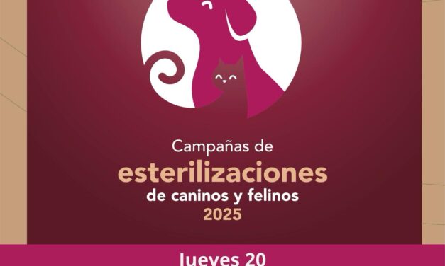 Campaña #GRATUITA de esterilización canina y felina en Santa Ana Azcapotzaltongo