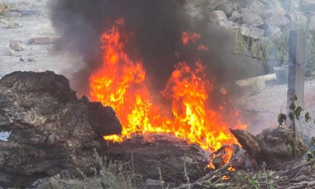 Bomberos de Tula atendieron reporte de incendio en la colonia El Cielito