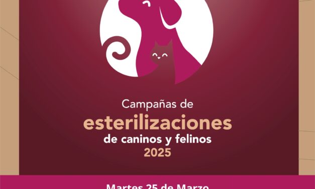 Invitan a participar en la campaña #GRATUITA de esterilización canina y felina