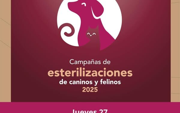 Mañana habrá campaña #GRATUITA de esterilización canina y felina en Cantera de Villagrán
