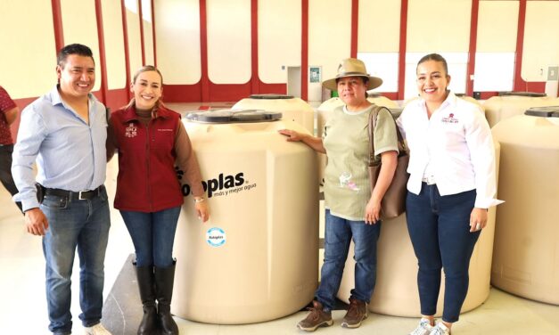 Entregan apoyos a más de 150 familias tepejanas