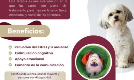 El Sistema DIF Municipal Tepeji ya cuenta con #TerapiaAsistidaConPerros