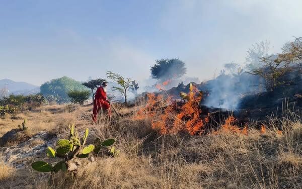 Bomberos trabajan en sofocar incendio en Tepeji del Río