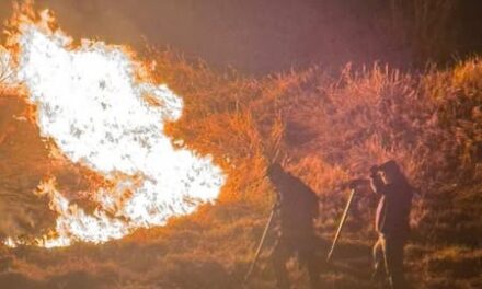 30 elementos laboran en sofocar dos incendios en Tepeji del Río