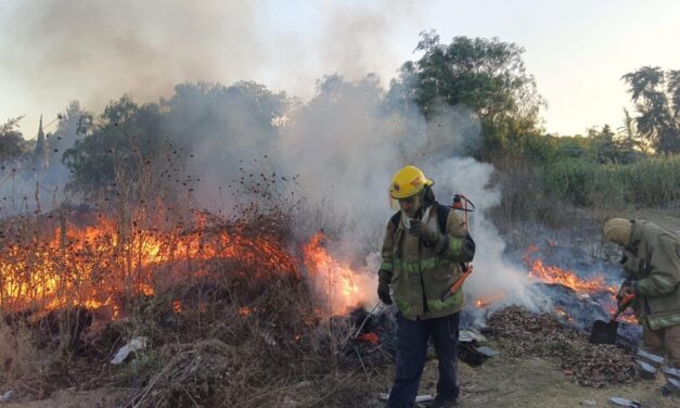 Reporte Especial: Incendios en Tepeji del Río de Ocampo