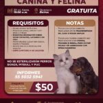 ¡𝐀𝐭𝐞𝐧𝐜𝐢𝐨́𝐧, 𝐀𝐭𝐨𝐭𝐨𝐧𝐢𝐥𝐜𝐨 𝐝𝐞 𝐓𝐮𝐥𝐚!