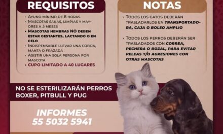 ¡𝐀𝐭𝐞𝐧𝐜𝐢𝐨́𝐧, 𝐀𝐭𝐨𝐭𝐨𝐧𝐢𝐥𝐜𝐨 𝐝𝐞 𝐓𝐮𝐥𝐚!