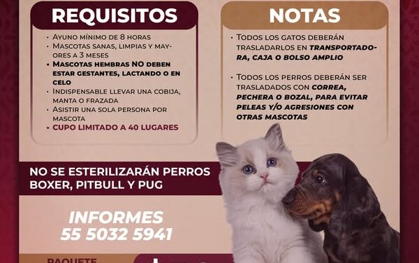 ¡𝐀𝐭𝐞𝐧𝐜𝐢𝐨́𝐧, 𝐀𝐭𝐨𝐭𝐨𝐧𝐢𝐥𝐜𝐨 𝐝𝐞 𝐓𝐮𝐥𝐚!