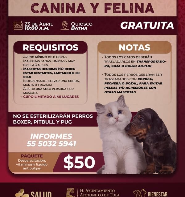 ¡𝐀𝐭𝐞𝐧𝐜𝐢𝐨́𝐧, 𝐀𝐭𝐨𝐭𝐨𝐧𝐢𝐥𝐜𝐨 𝐝𝐞 𝐓𝐮𝐥𝐚!