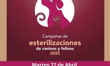 Mañana habrá Campaña #GRATUITA de esterilización canina y felina en #CañadaDeMadero
