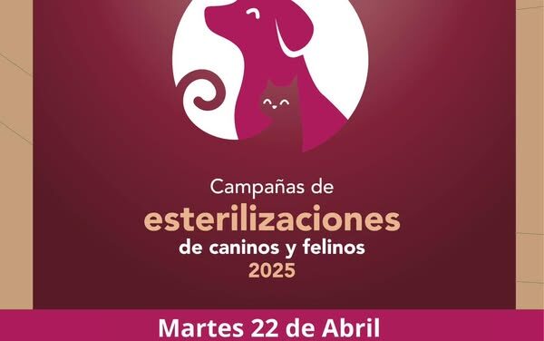 Mañana habrá Campaña #GRATUITA de esterilización canina y felina en #CañadaDeMadero