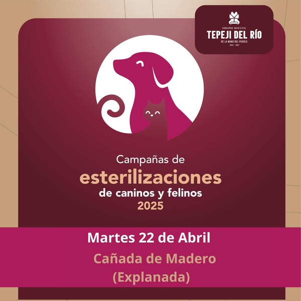 Mañana habrá Campaña #GRATUITA de esterilización canina y felina en #CañadaDeMadero