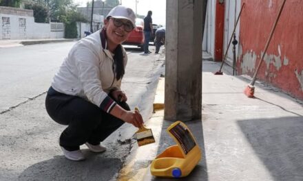 Gobierno Municipal realiza faenas comunitarias en Bóvedas y El Refugio