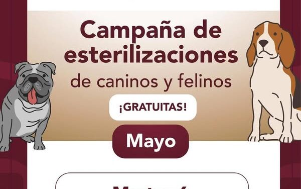 Campaña gratuita de esterilización canina y felina en la colonia San Francisco