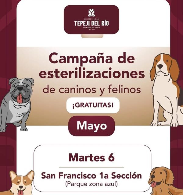 Campaña gratuita de esterilización canina y felina en la colonia San Francisco