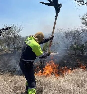 Bomberos de Tepeji sofocan incendio de pastos secos