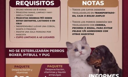 Habrá Campaña de Esterilización Canina y Felina 𝗚𝗥𝗔𝗧𝗨𝗜𝗧𝗔  en Cruz del Tezontle