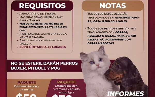 Habrá Campaña de Esterilización Canina y Felina 𝗚𝗥𝗔𝗧𝗨𝗜𝗧𝗔  en Cruz del Tezontle