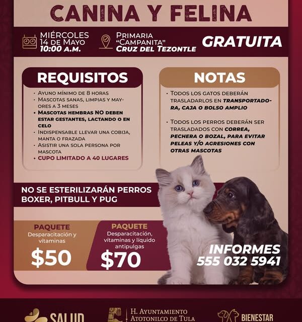 Habrá Campaña de Esterilización Canina y Felina 𝗚𝗥𝗔𝗧𝗨𝗜𝗧𝗔  en Cruz del Tezontle
