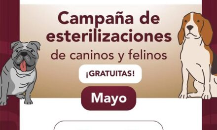 Mañana habrá campaña gratuita de esterilización canina y felina en la localidad de Dos Peñas.