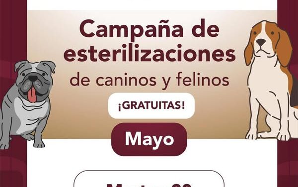 Mañana habrá campaña gratuita de esterilización canina y felina en la localidad de Dos Peñas.