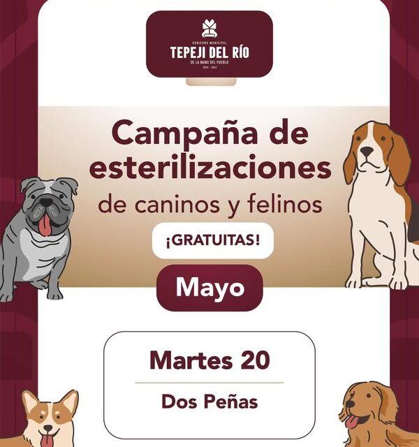 Mañana habrá campaña gratuita de esterilización canina y felina en la localidad de Dos Peñas.